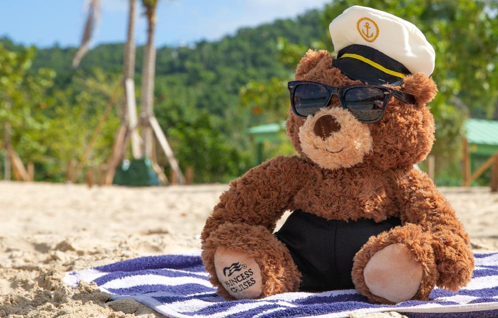 teddy on beach